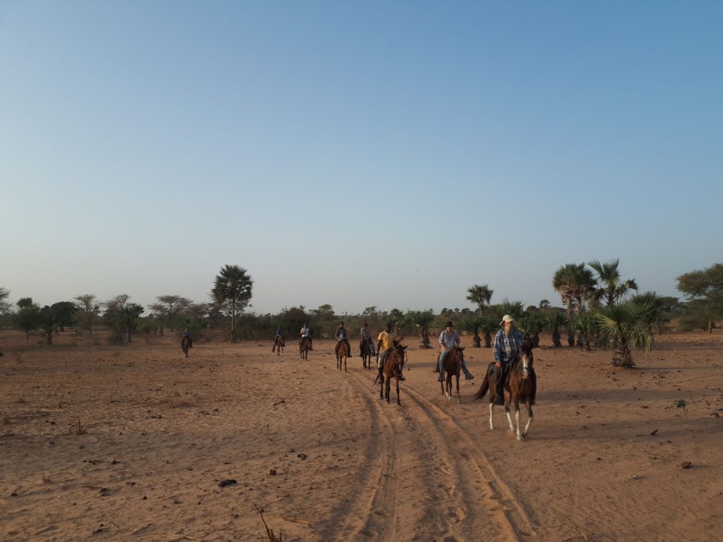 SENEGAL - Randonnée équestre, voyage à cheval dans le Delta du Saloum -  Rando Cheval