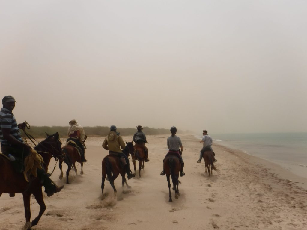 SENEGAL - Randonnée équestre, voyage à cheval dans le Delta du Saloum -  Rando Cheval